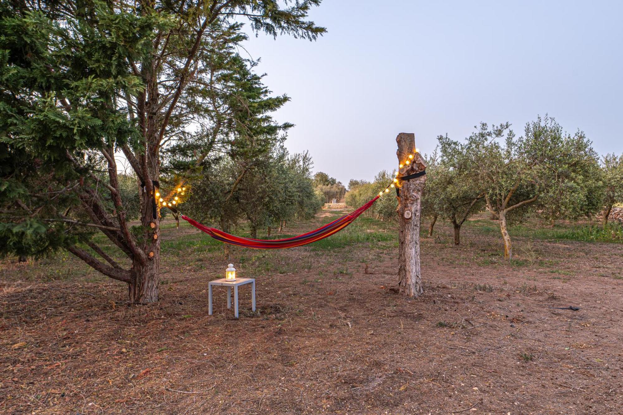 Finca Girasols Campos  Dış mekan fotoğraf